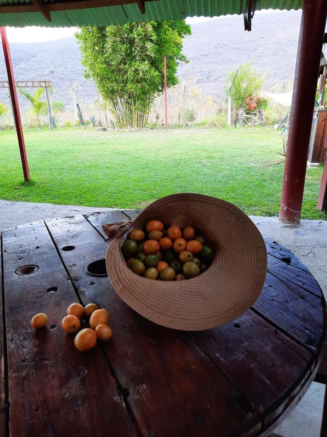La Cabana De Blanca 할판 외부 사진