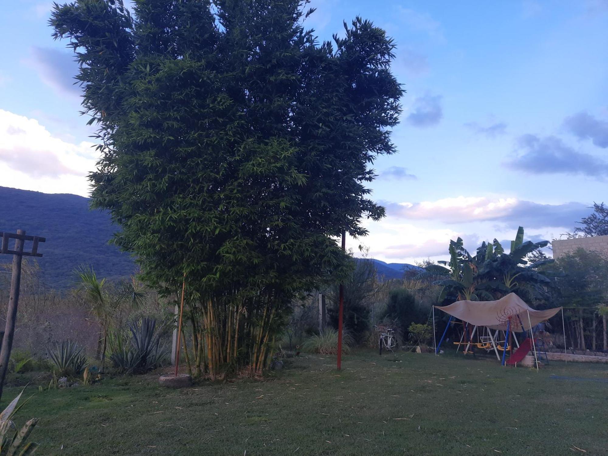 La Cabana De Blanca 할판 객실 사진